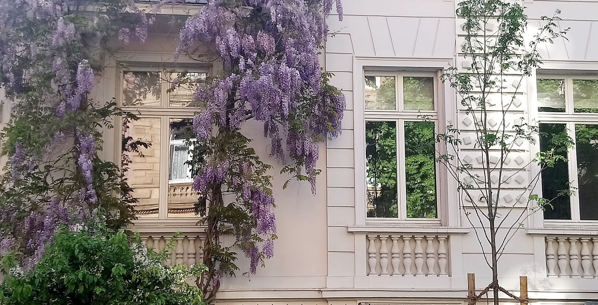 Frankfurter Stiftung für deutsch-italienische Studien